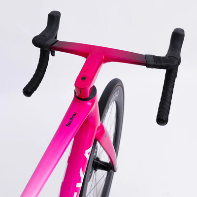 FESTKA SPECTRE ROULEUR